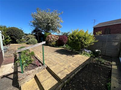 Picture 15